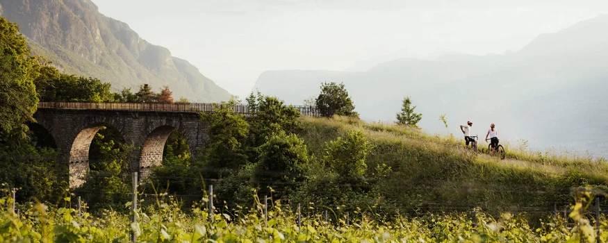 Two cyclists on a hill path near an old stone bridge and green vineyard