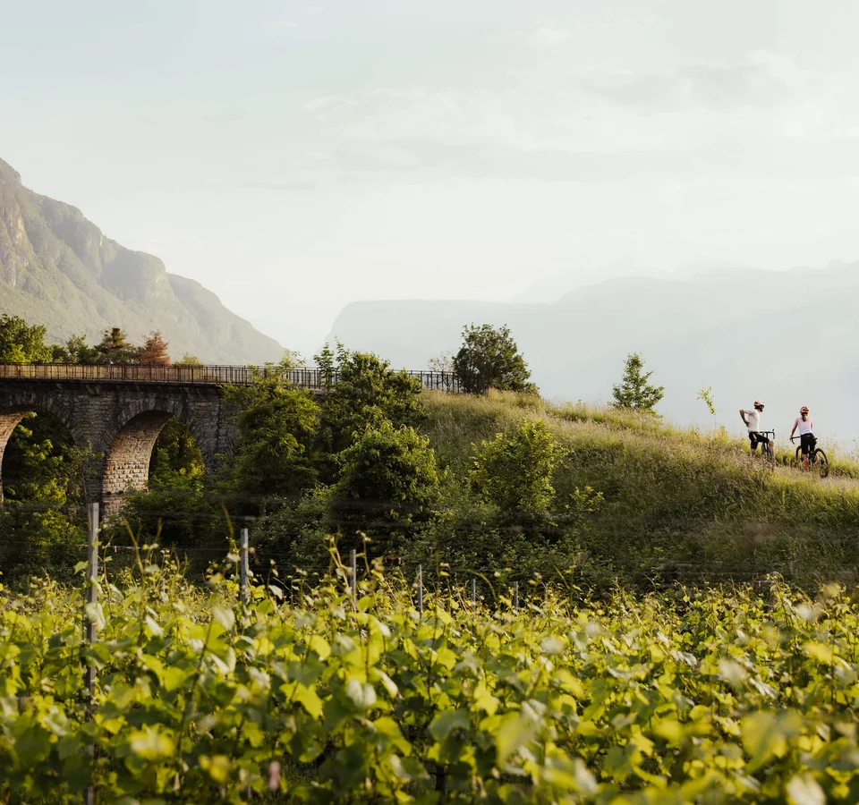 Saisonstart im Teutschhaus © IDM Südtirol - Alto Adige - Alex Moling Zwei Radfahrer auf einem Hügelweg neben einer alten steinernen Brücke und grünem Weinberg