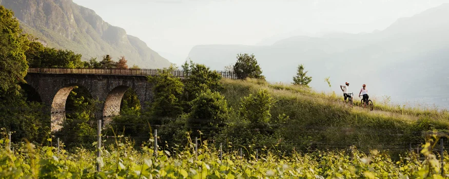 Kurven, Kultur & Kontraste in Südtirols Süden © IDM Südtirol - Alto Adige - Alex Moling Zwei Radfahrer auf einem Hügelweg neben einer alten steinernen Brücke und grünem Weinberg