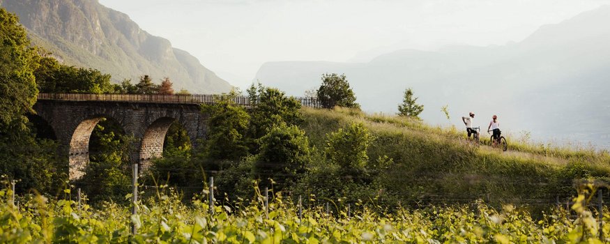 Zwei Radfahrer auf einem Hügelweg neben einer alten steinernen Brücke und grünem Weinberg