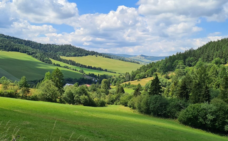 Vista di colline verdi e foreste sotto un cielo blu con nuvole