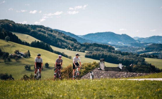 Drei Radfahrer fahren auf Landstraße vor bergiger, grüner Landschaft
