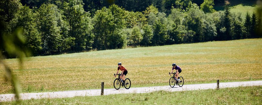 Zwei Radfahrer auf Landstraße umgeben von grünen Wiesen und Wald