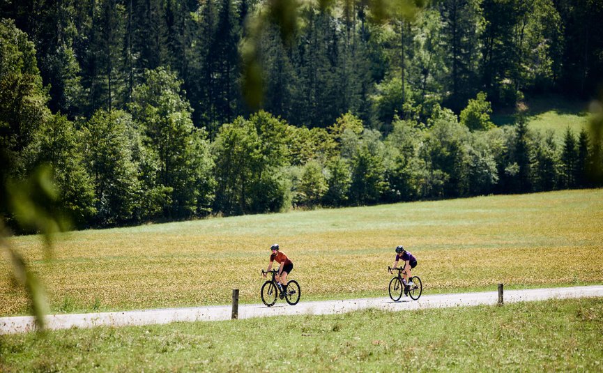 Due ciclisti su strada di campagna tra campi verdi e foresta