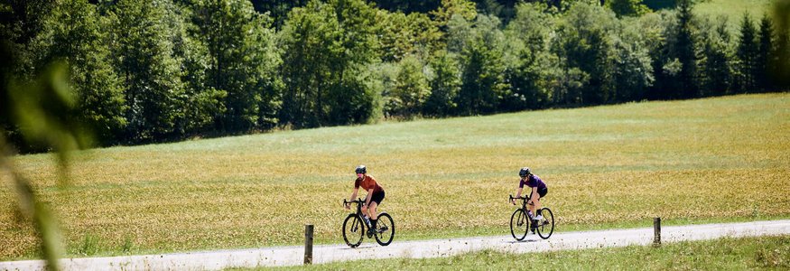 Zwei Radfahrer auf Landstraße umgeben von grünen Wiesen und Wald