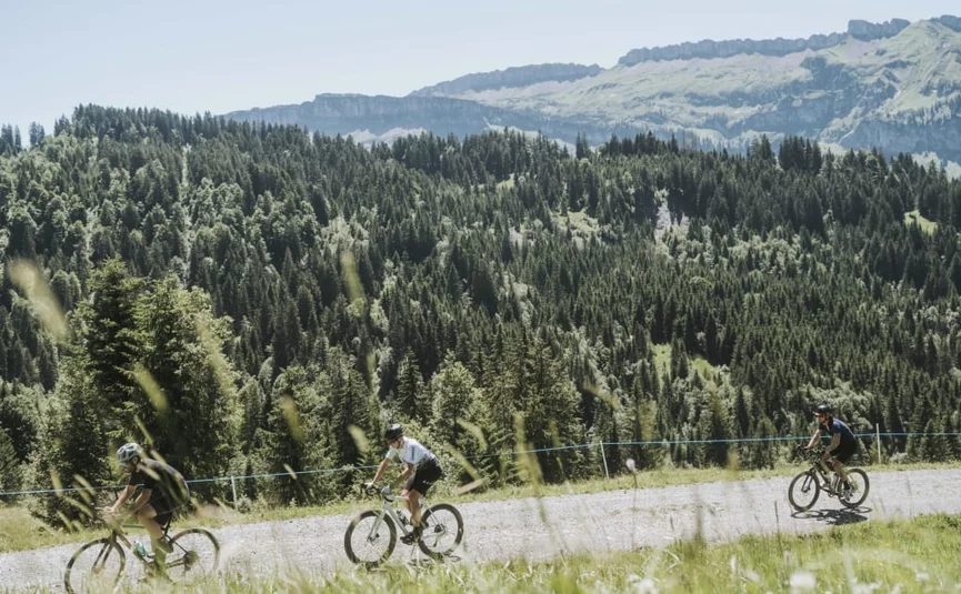 Drei Radfahrer fahren auf einem Bergweg vor einem Wald und Bergen