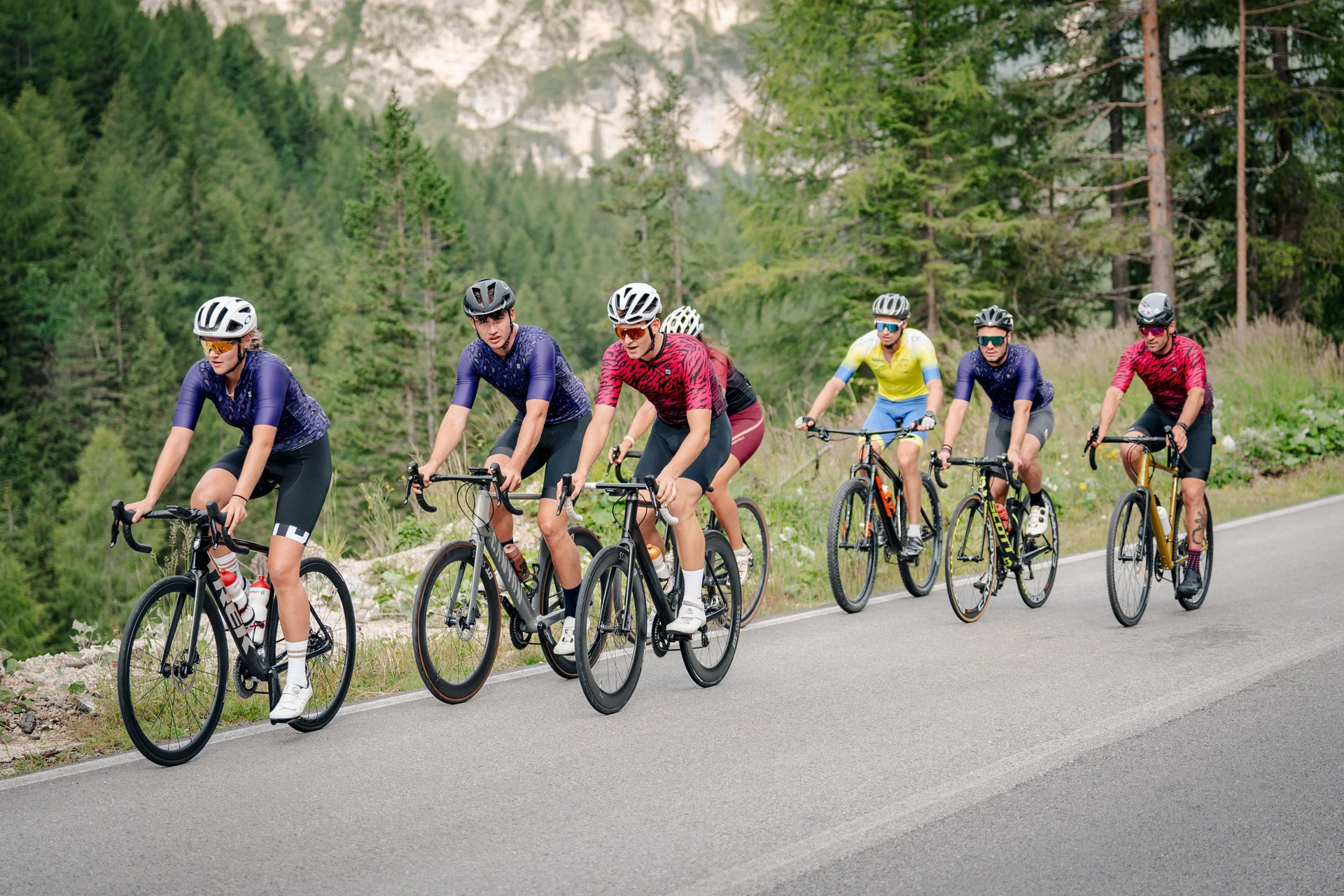 Roadbike Holidays © Josef Plaickner Gruppo di ciclisti su strada di montagna circondata da alberi