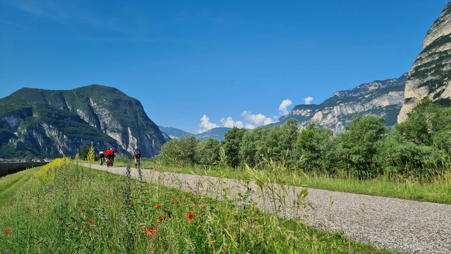 Ein Rennrad-Wochenende in Südtirols Süden © TV Südtirols Süden - Simone Radfahrer auf Weg mit Bergen und blauem Himmel im Hintergrund