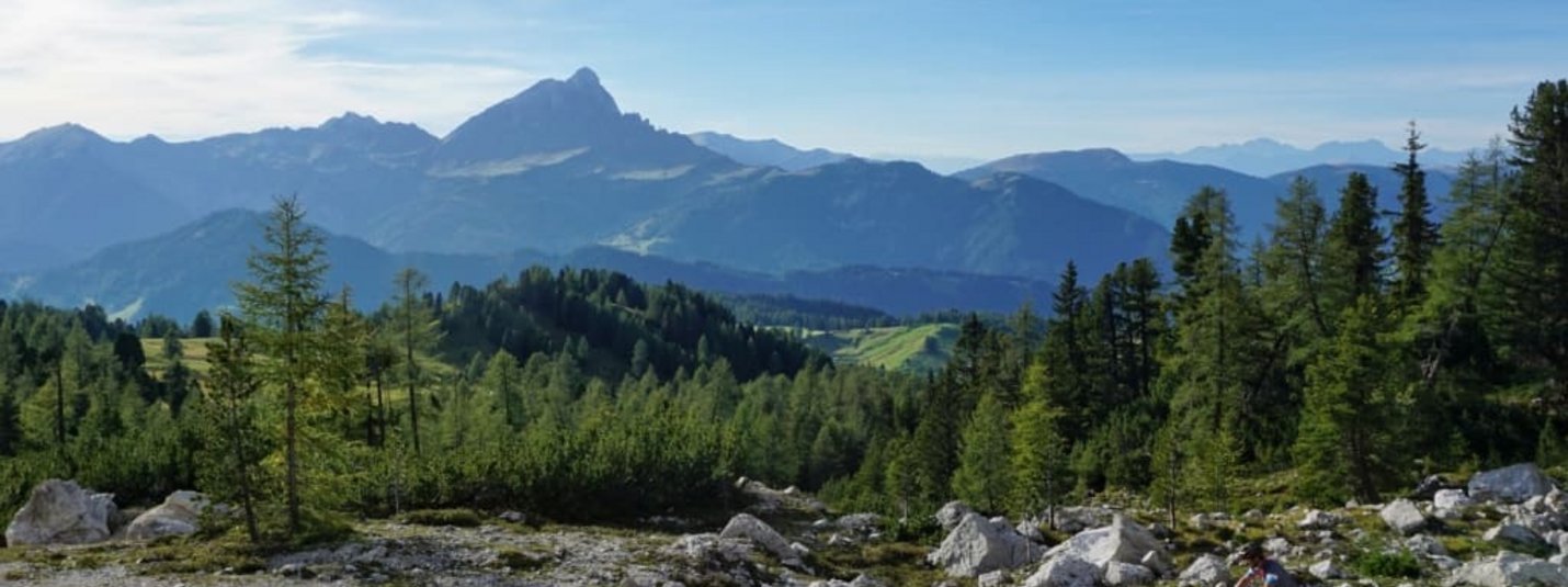 Cyclist on rocky mountain trail with pine trees and distant mountains