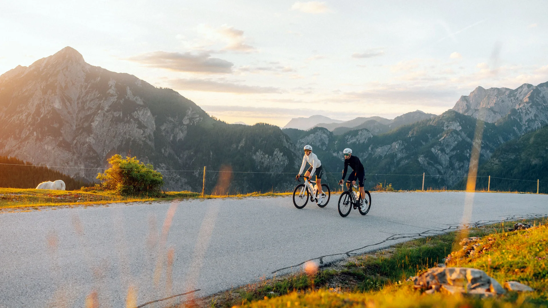 Roadbike Holidays © Stefan Hähnel Zwei Radfahrer auf einer Bergstraße vor einer Alpenkulisse im Abendlicht