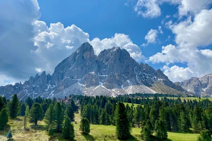 Mountain landscape with green meadows, pine trees, and partly cloudy sky