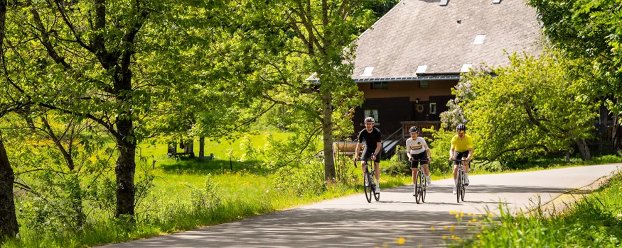 Schwarzwald © Baschi Bender Drei Radfahrer fahren auf einer Landstraße mit Bäumen und Haus im Hintergrund