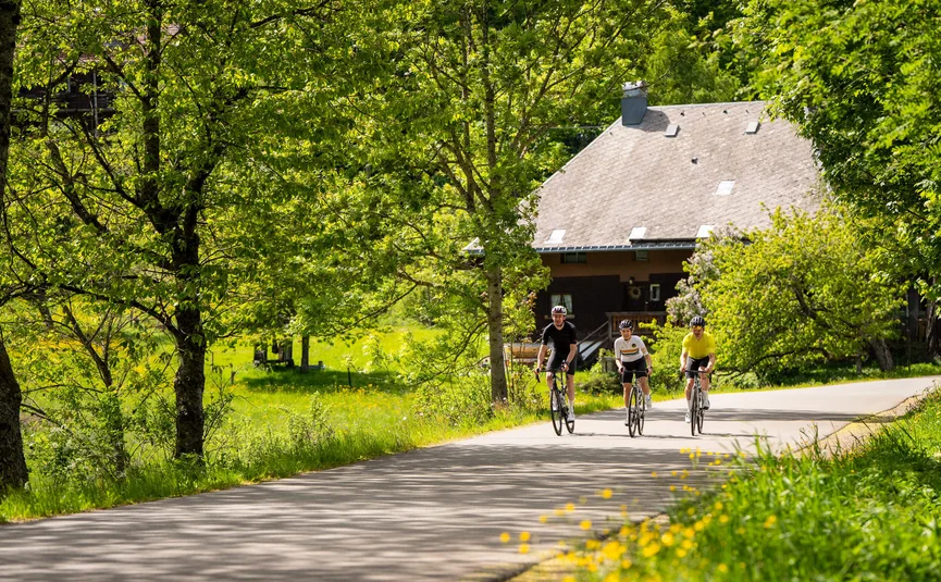 Rennrad Urlaub im Schwarzwald © Baschi Bender Drei Radfahrer fahren auf einer Landstraße mit Bäumen und Haus im Hintergrund