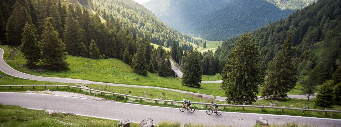 Due ciclisti su strada di montagna tortuosa tra foresta verde