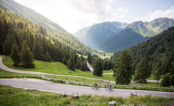 Due ciclisti su strada di montagna tortuosa tra foresta verde