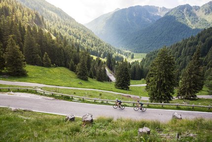 Due ciclisti su strada di montagna tortuosa tra foresta verde