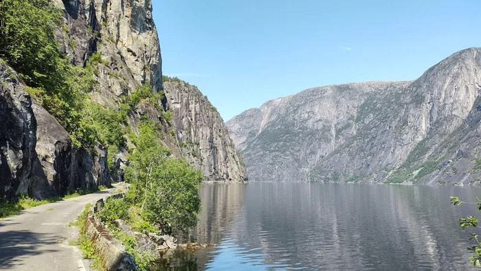 Straße am Fjord mit steilen Felsen und klarem Himmel