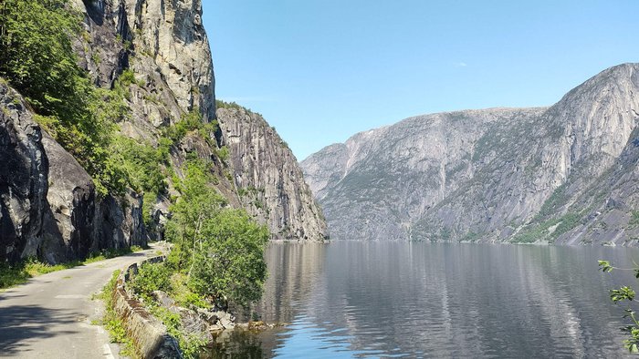 Tour della Norvegia © quäldich.de GmbH Strada accanto a un fiordo con scogliere ripide e cielo sereno