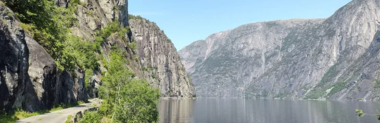 Straße am Fjord mit steilen Felsen und klarem Himmel