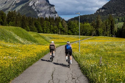 Zwei Radfahrer auf schmalem Weg durch blühende Wiesen mit Bergen im Hintergrund