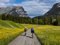 Bregenzerwald © Bregenzerwald Tourismus - Merlijn Spenkelink Twee fietsers op een smal pad door bloeiende weiden met bergen op de achtergrond