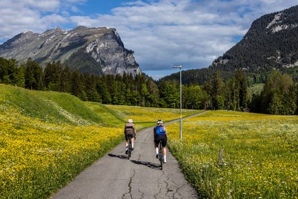 Due ciclisti su un sentiero stretto tra prati fioriti con montagne sullo sfondo