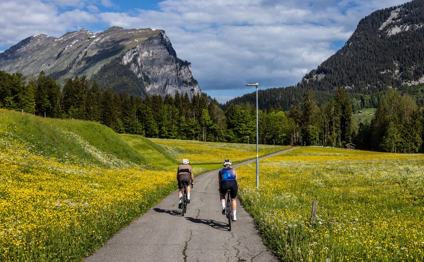 Due ciclisti su un sentiero stretto tra prati fioriti con montagne sullo sfondo