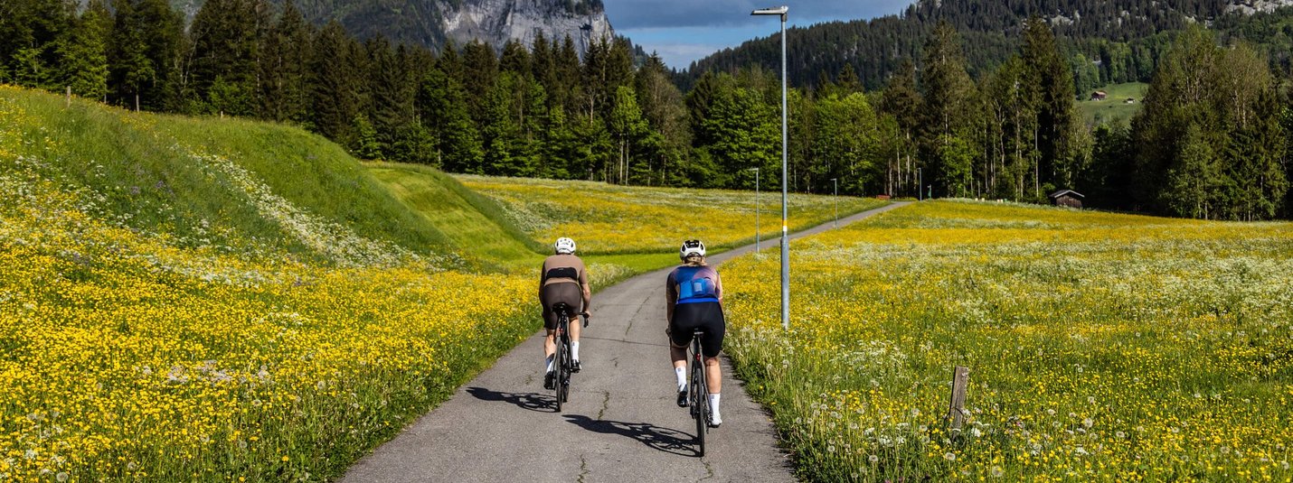 Zwei Radfahrer auf schmalem Weg durch blühende Wiesen mit Bergen im Hintergrund