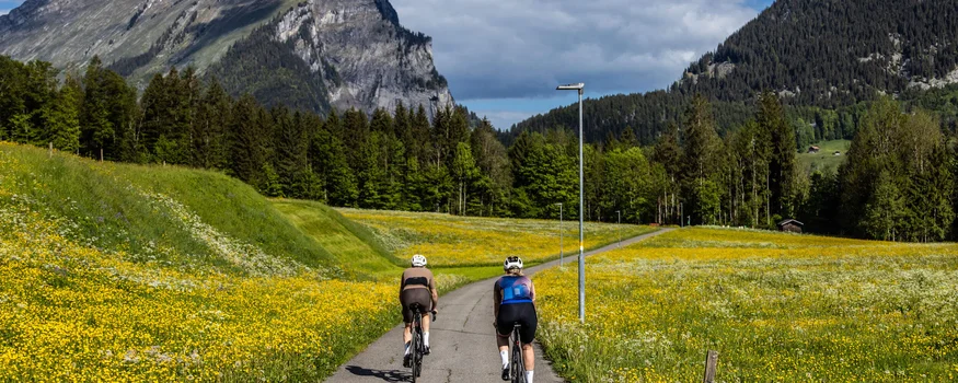 A racing bike weekend in the Bregenzerwald © Bregenzerwald Tourismus - Merlijn Spenkelink Two cyclists on a narrow path through blooming meadows with mountains in the background