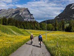 Two cyclists on a narrow path through blooming meadows with mountains in the background
