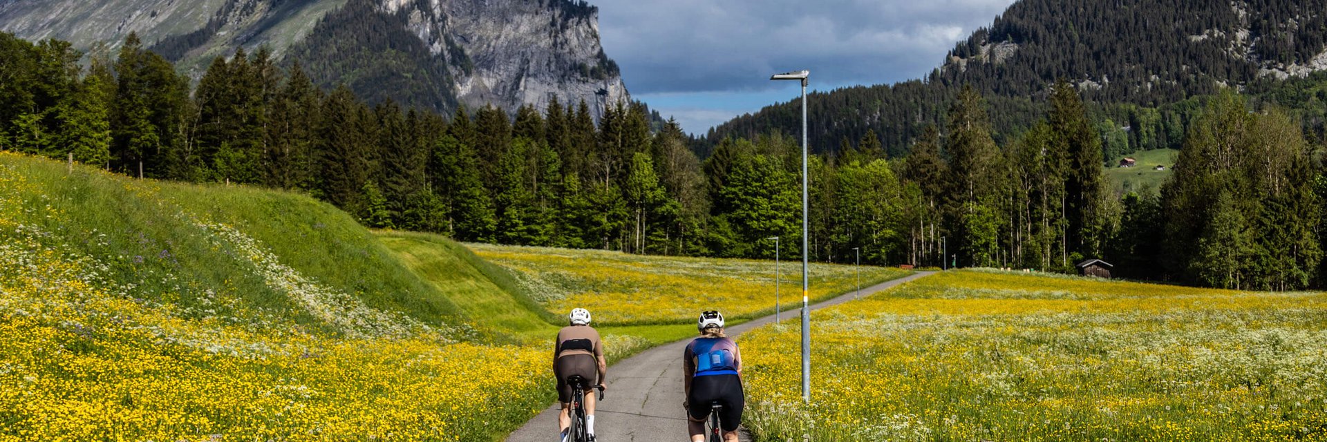 Zwei Radfahrer auf schmalem Weg durch blühende Wiesen mit Bergen im Hintergrund