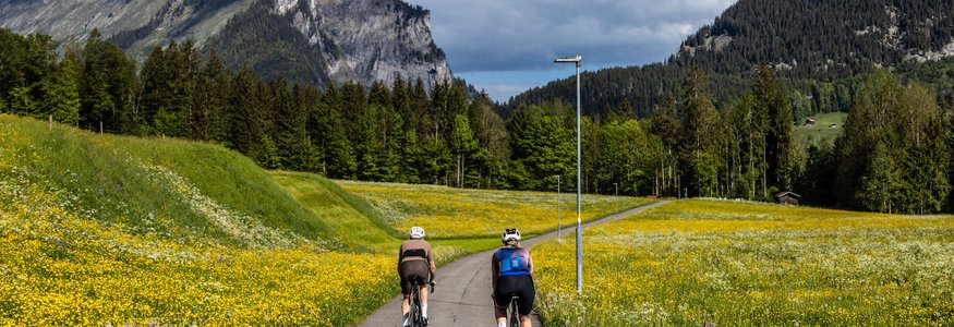 Zwei Radfahrer auf schmalem Weg durch blühende Wiesen mit Bergen im Hintergrund