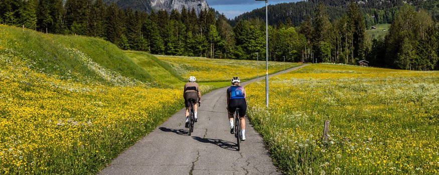 Zwei Radfahrer auf schmalem Weg durch blühende Wiesen mit Bergen im Hintergrund