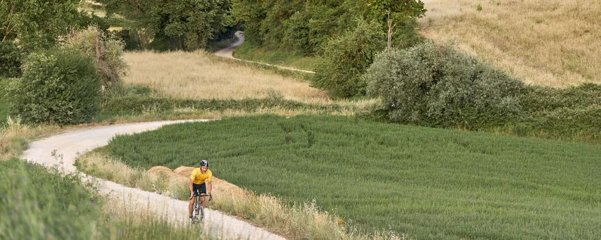 Radfahrer fährt auf geschwungenem Weg durch grünes und gelbes Landschaftsfeld