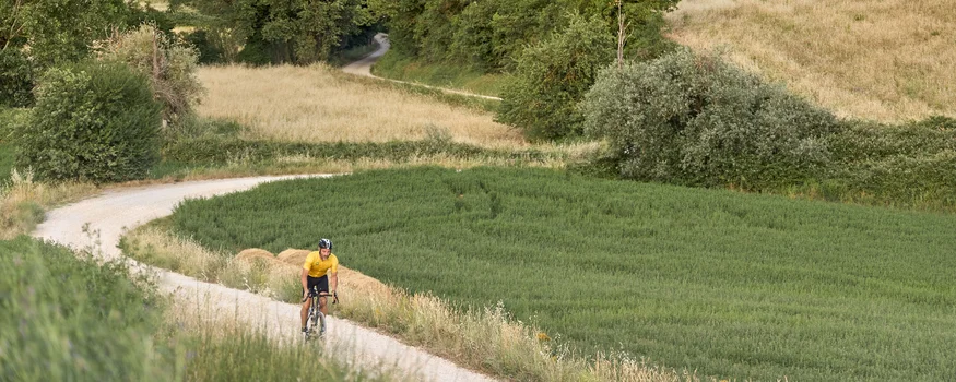 Toskana © Asha Balogh Radfahrer fährt auf geschwungenem Weg durch grünes und gelbes Landschaftsfeld