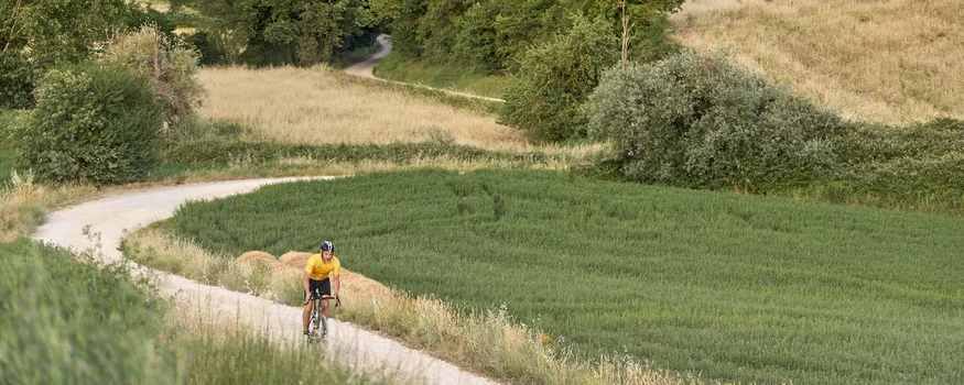 Rennradfahren in der Toskana © Asha Balogh Radfahrer fährt auf geschwungenem Weg durch grünes und gelbes Landschaftsfeld