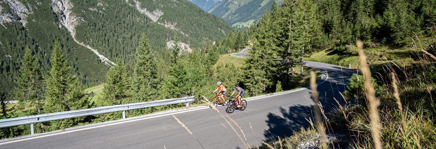 Two cyclists riding on a mountain road in a forested alpine landscape on a clear day