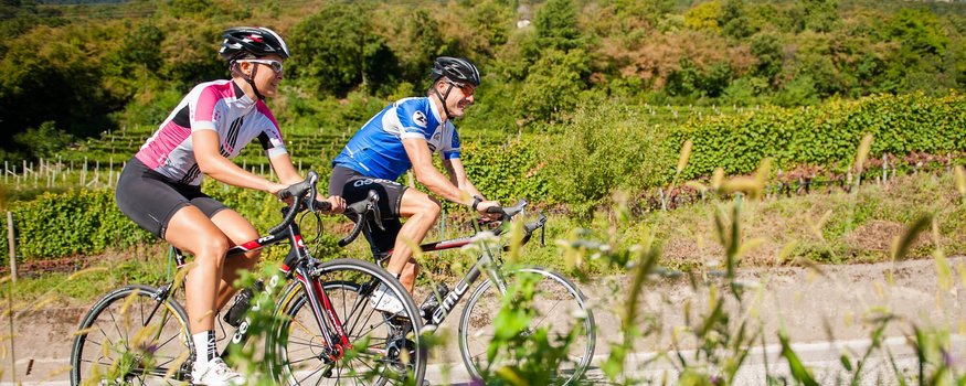 Goldener Herbst auf dem Rennrad in Tramin Zwei Radfahrer in Mountainlandschaft fahren auf Straße entlang grüner Vegetation