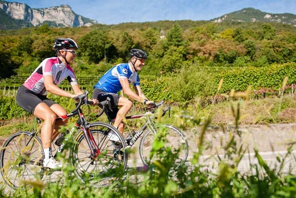 Zwei Radfahrer in Mountainlandschaft fahren auf Straße entlang grüner Vegetation