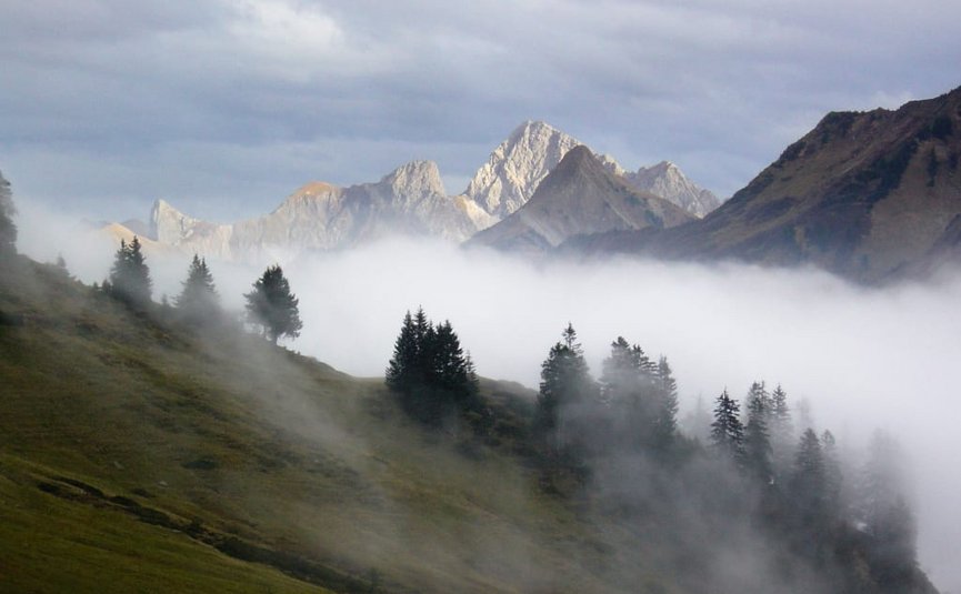 Mist boven dennenbomen op een berghelling met rotsachtige toppen op de achtergrond