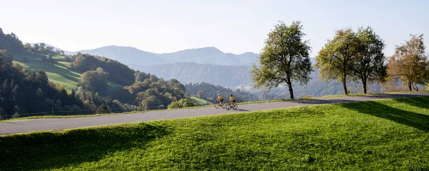 Zwei Radfahrer auf einer Straße in hügeliger Landschaft mit Bäumen und Bergen