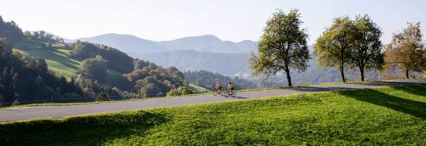 Due ciclisti su una strada in un paesaggio collinare con alberi e montagne