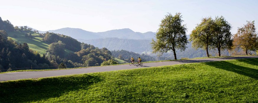 Hotel Grof **** © Kaja Ribezl Two cyclists on a road in hilly landscape with trees and mountains