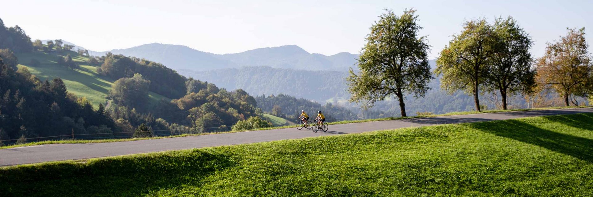 Zwei Radfahrer auf einer Straße in hügeliger Landschaft mit Bäumen und Bergen