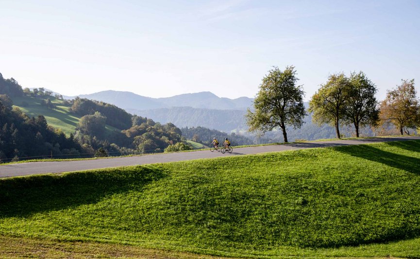 Due ciclisti su una strada in un paesaggio collinare con alberi e montagne