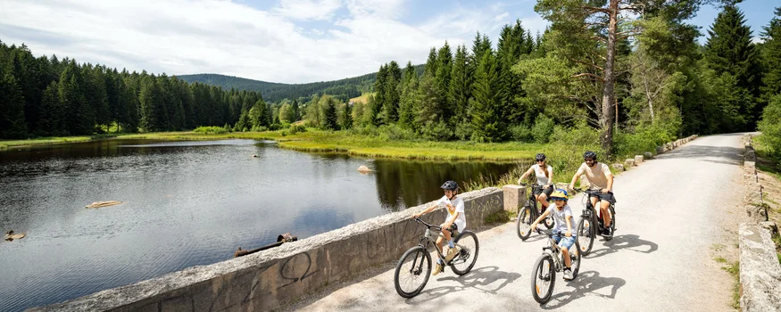 Posthorn Hotel-Ristorante Una famiglia pedala lungo un lago nel bosco