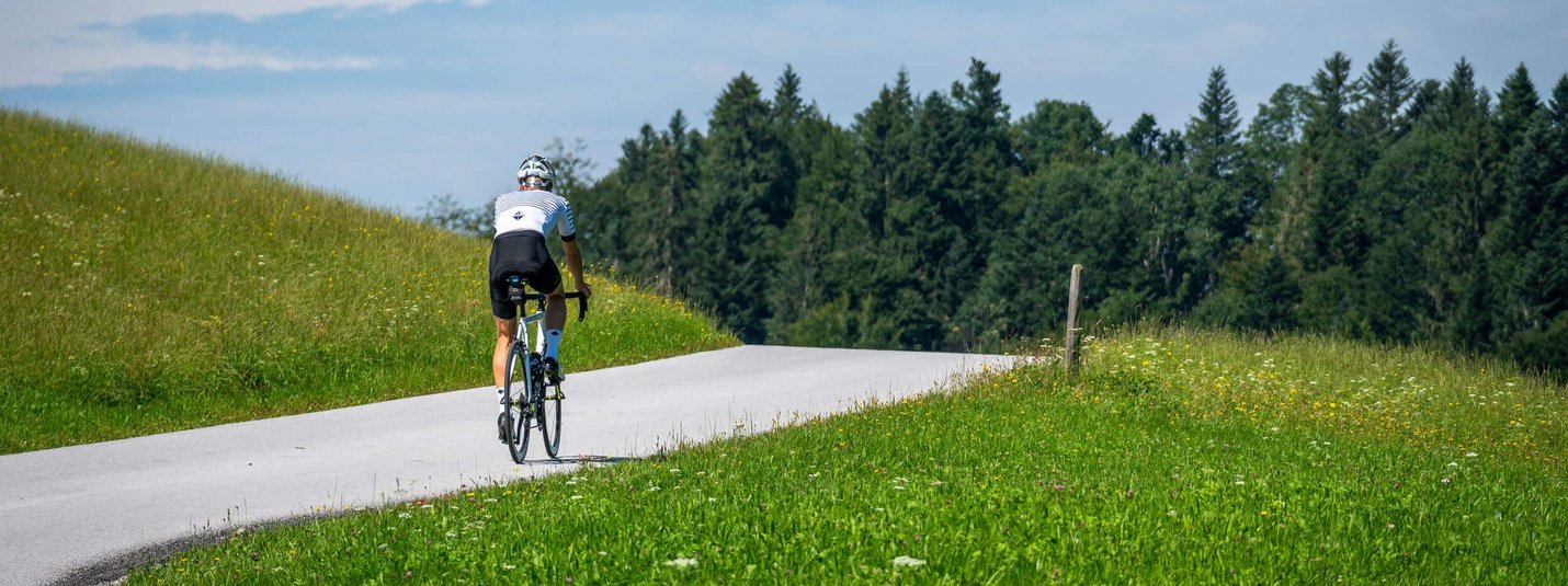 Cyclist on country road surrounded by green fields and trees under blue sky