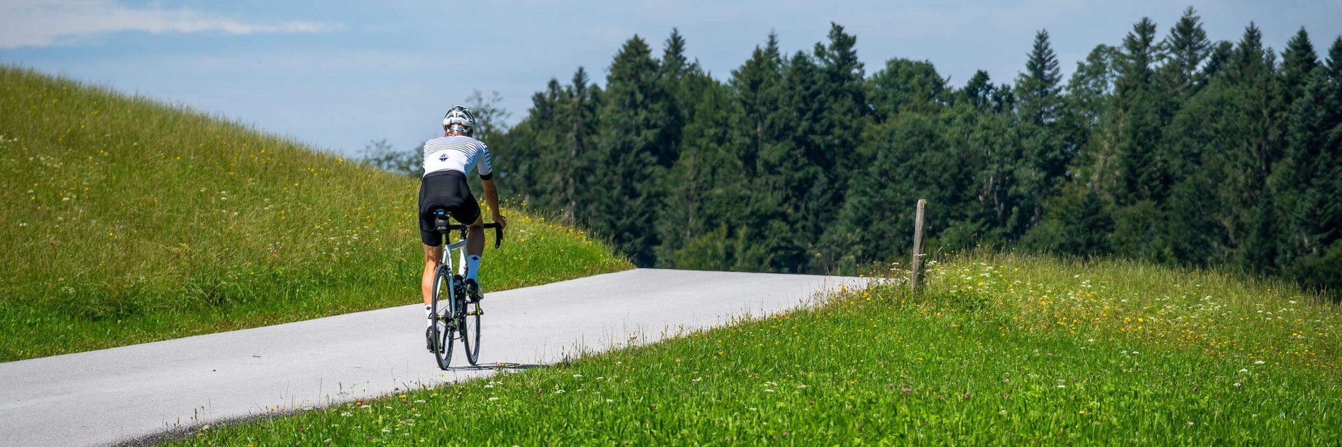 Radfahrer auf Landstraße umgeben von Wiesen und Bäumen bei blauem Himmel