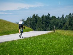 Ciclista su strada di campagna circondata da prati verdi e alberi con cielo azzurro