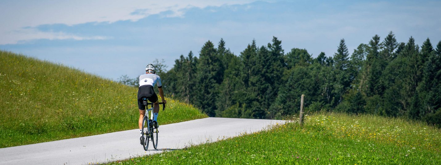 Ciclista su strada di campagna circondata da prati verdi e alberi con cielo azzurro